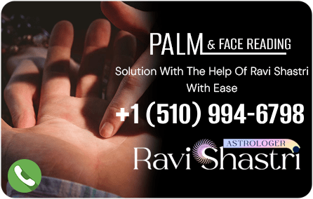 palm-add